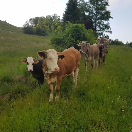 Ferienwohnung Schlossberg 1 Peiting Eksteriør billede